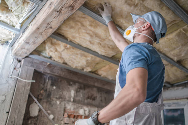 Types of Insulation We Offer in Somerset, TX